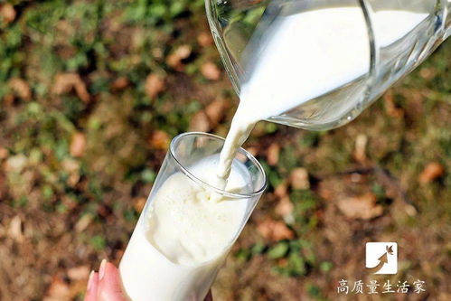 講究 買牛奶應該這樣挑選