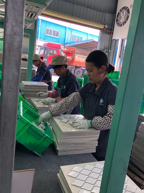 科技引領創(chuàng)新,綠色健康發(fā)展,以匠心精神深耕產品